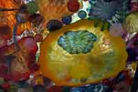 [Chihuly Bridge of Glass - Seaform Pavillion]