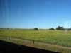 [Fields north of Adelaide]