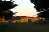 [Evening at Marrawah]