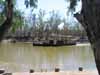 [Paddlewheeler on the Murray in Echuca]
