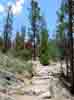 [Path from Adams Falls]