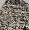[Sedimentary Rock in Brachina Creek]