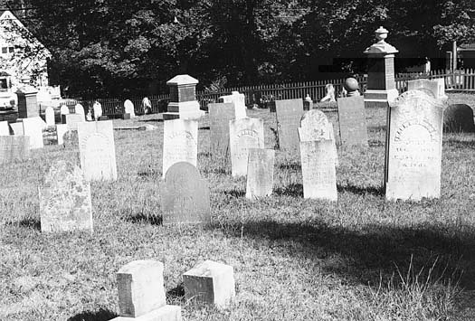 [Village Cemetary in 1995]